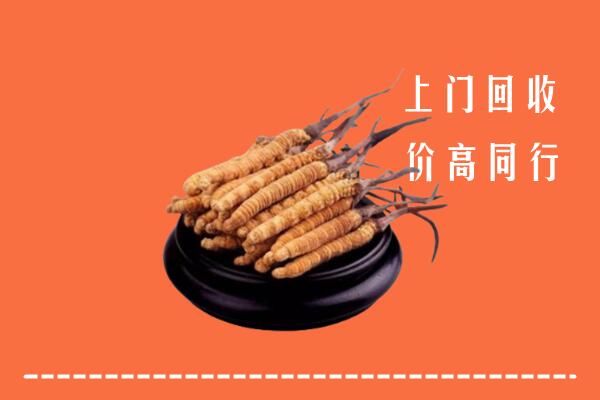 高价求购：怒江州兰坪回收散虫草