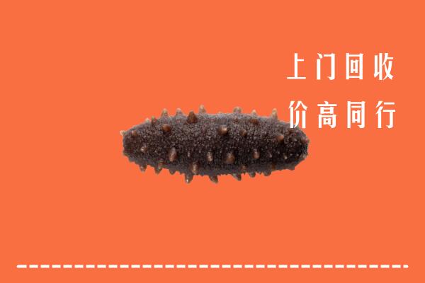 怒江州兰坪回收海参