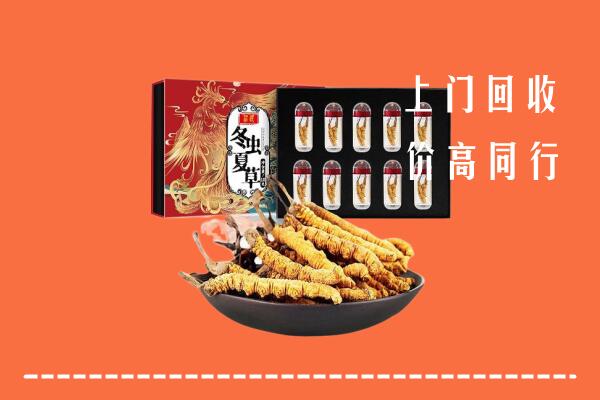 怒江州兰坪回收虫草